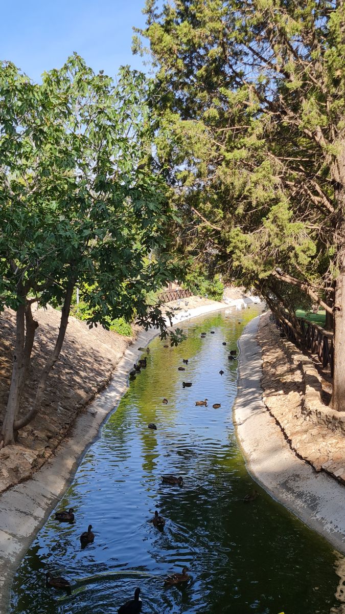 Photographer deliagt, Weather Photos in Manzanares - Weawow