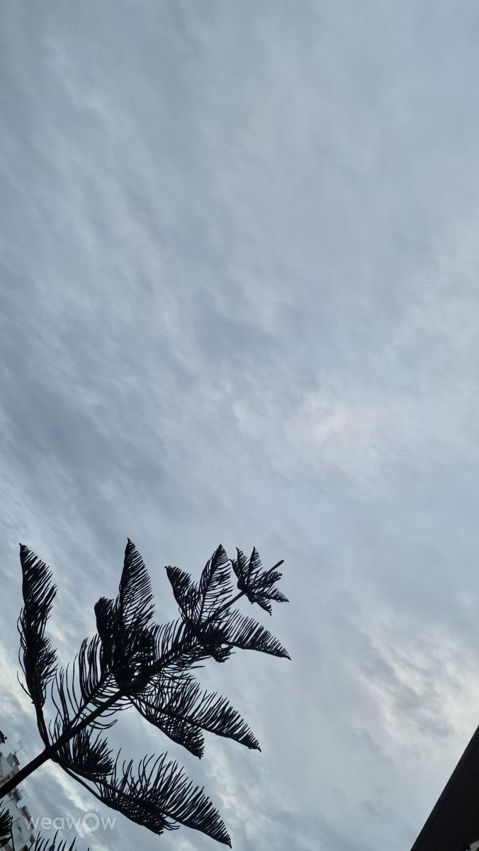 Photos météo à Attique. Prévisions météo avec de superbes photos de strudast