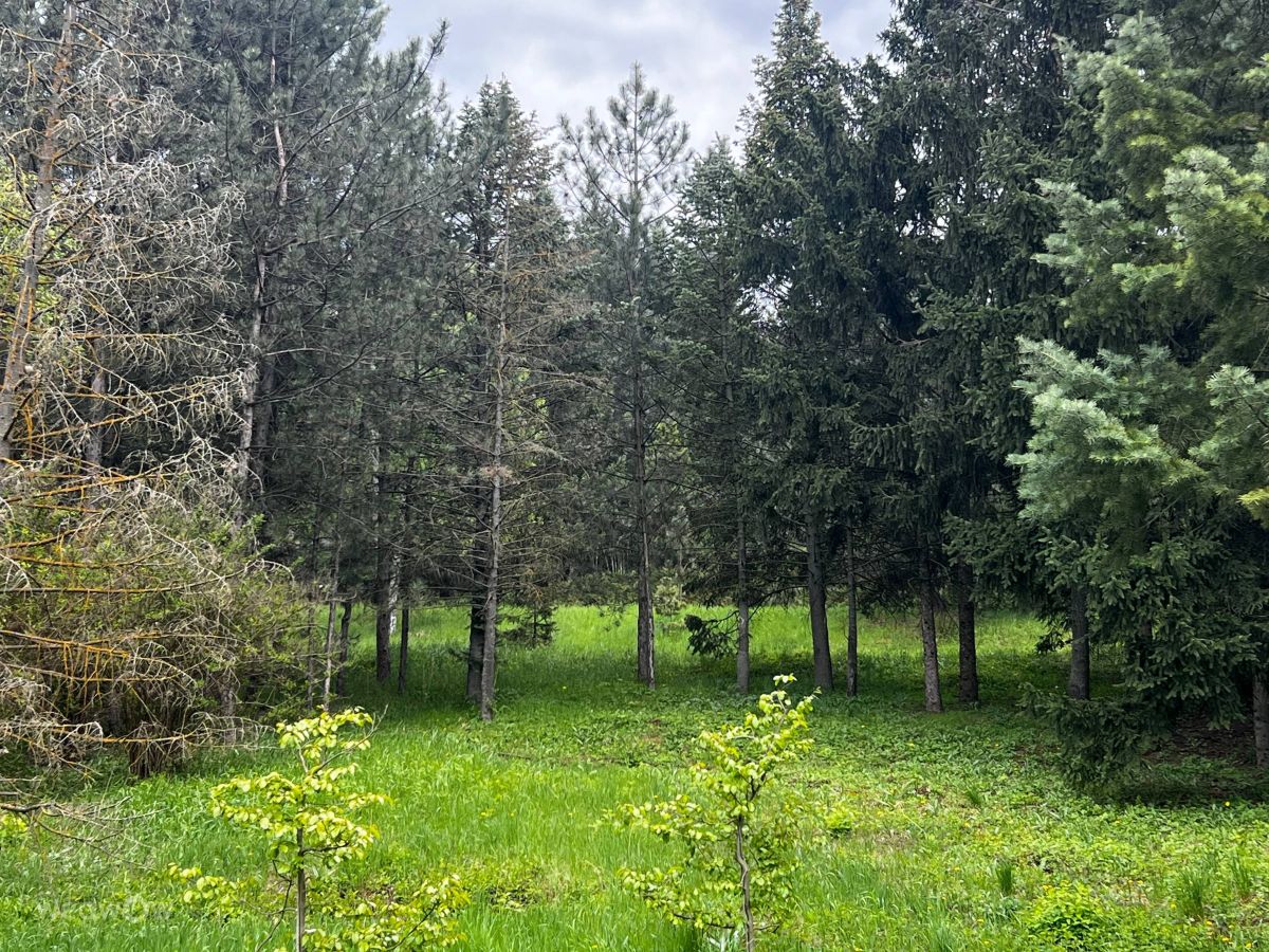 Fotos sobre el clima en Chișinău. Pronósticos del tiempo con hermosas fotos de InnaMoon