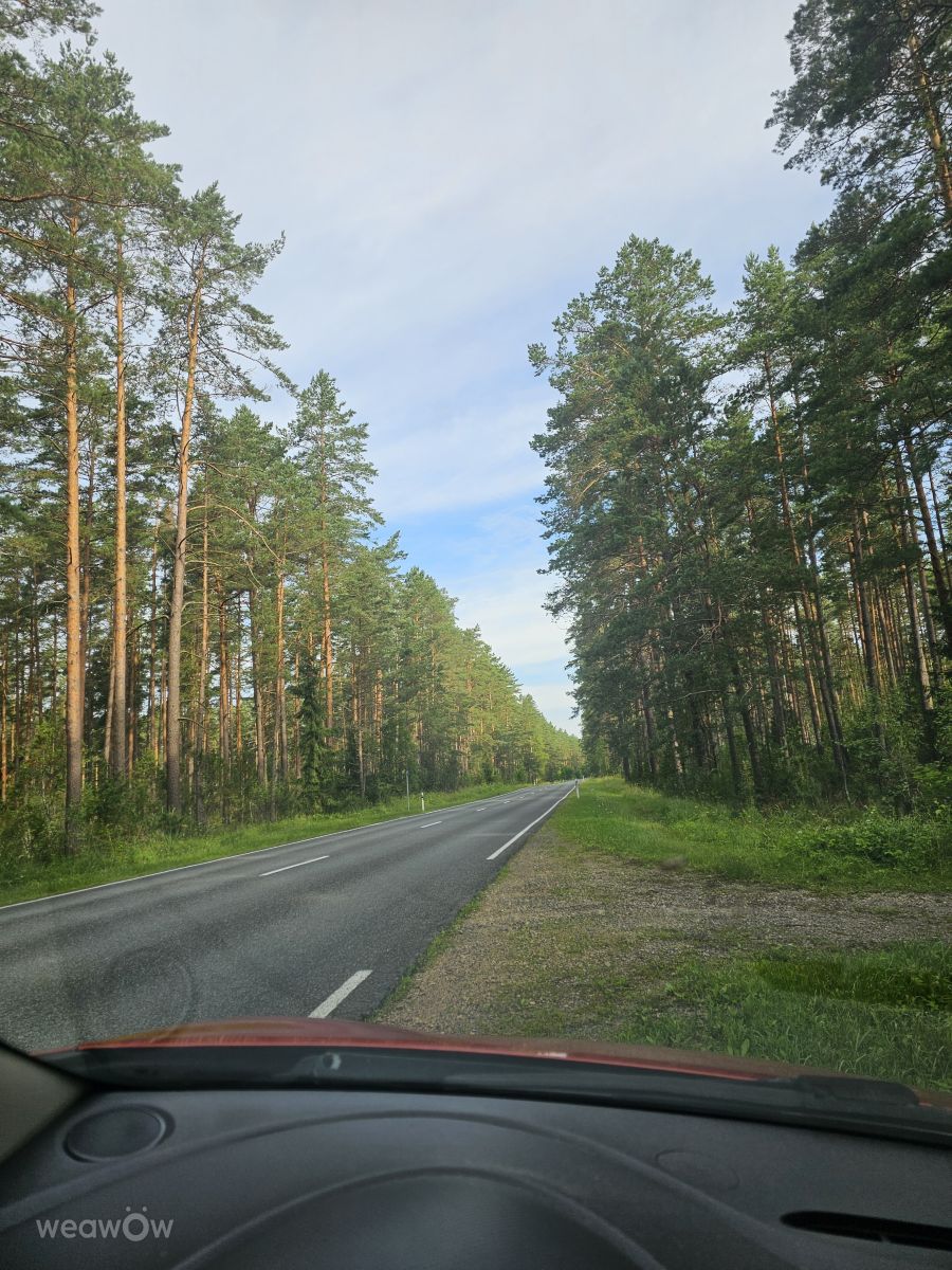 Weather Photos in لاتفيا. Weather forecasts with beautiful photos by Sandra Bokisha