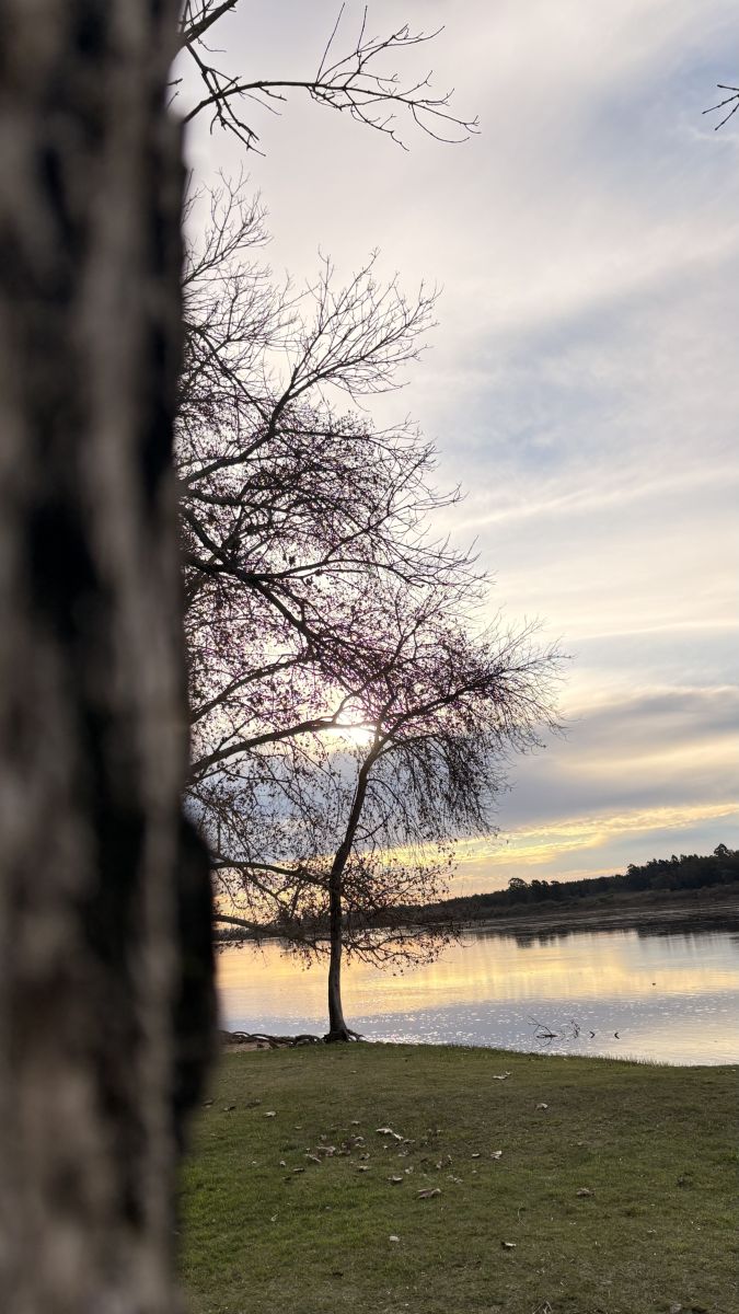 Weather Photos in أورجواي. Weather forecasts with beautiful photos by CACHILA69