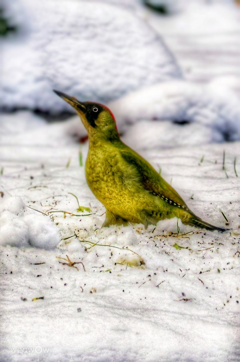 Weather Photos in Wellinghofen. Weather forecasts with beautiful photos by Lotti5507