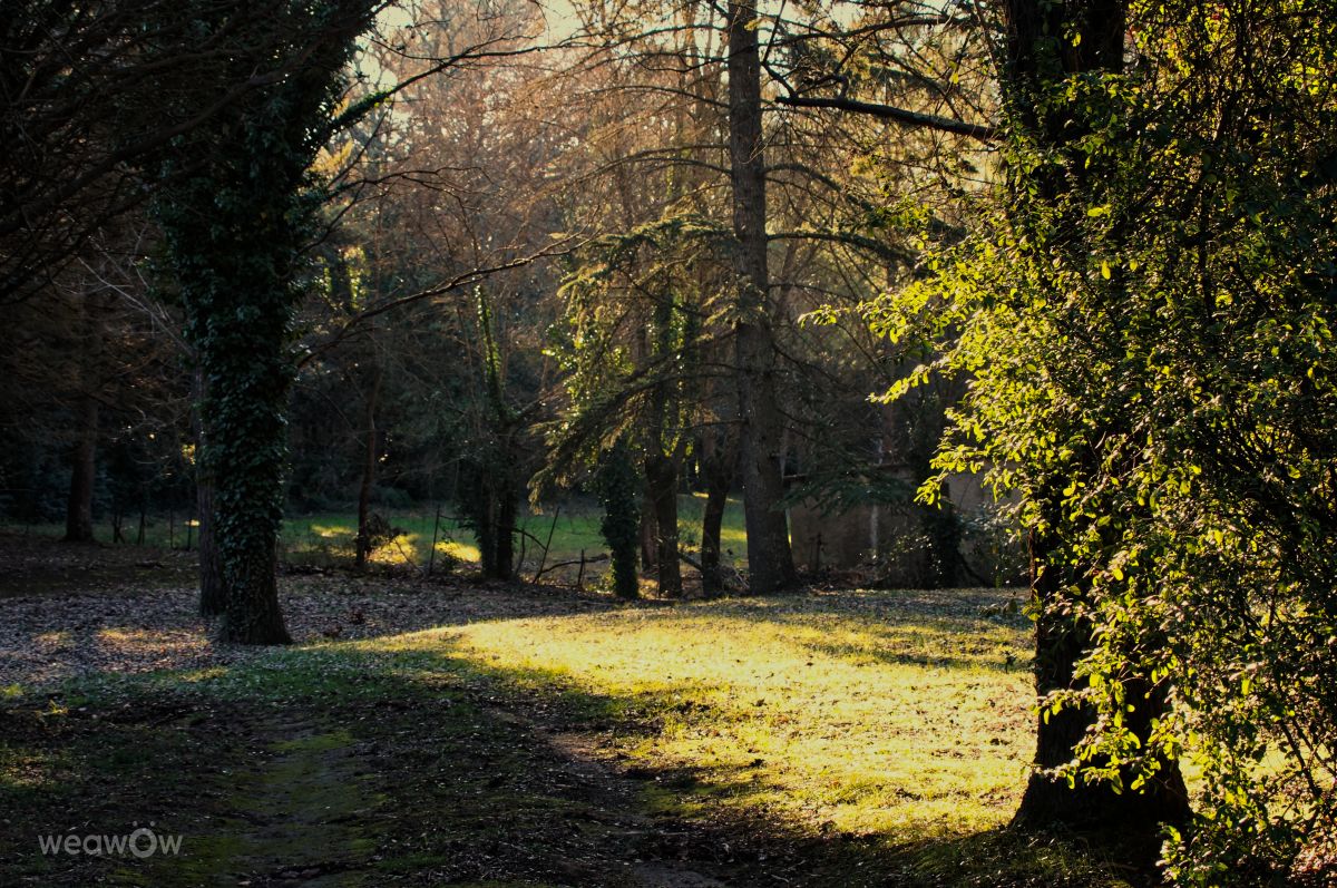 Photographer tony5636, Weather Photos in Junas - Weawow