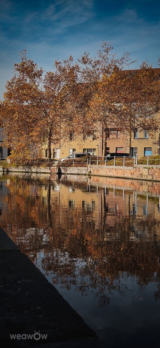 Weather forecasts with beautiful photos by nadiafeys