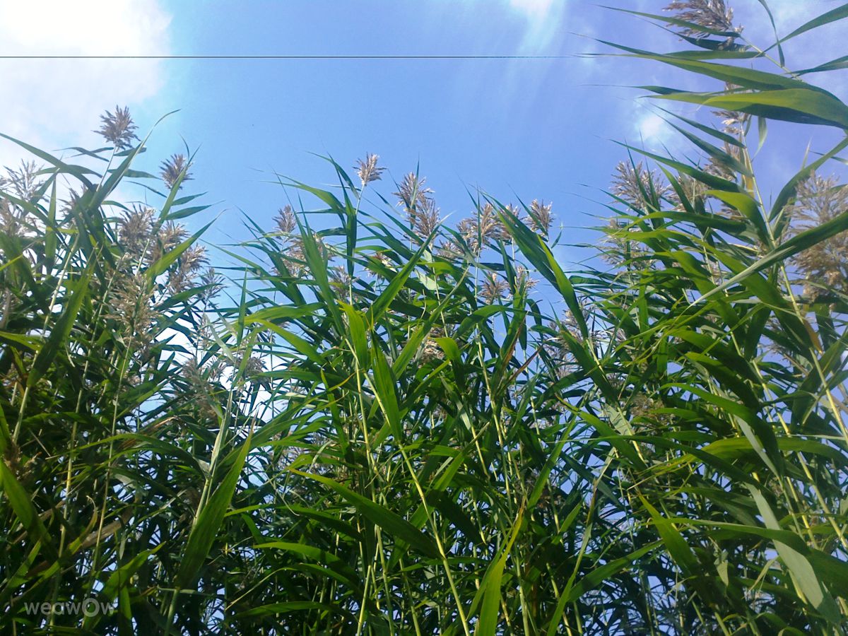 Fotos do tempo em Horlivka. Previsões do tempo com lindas fotos de MaxCreate