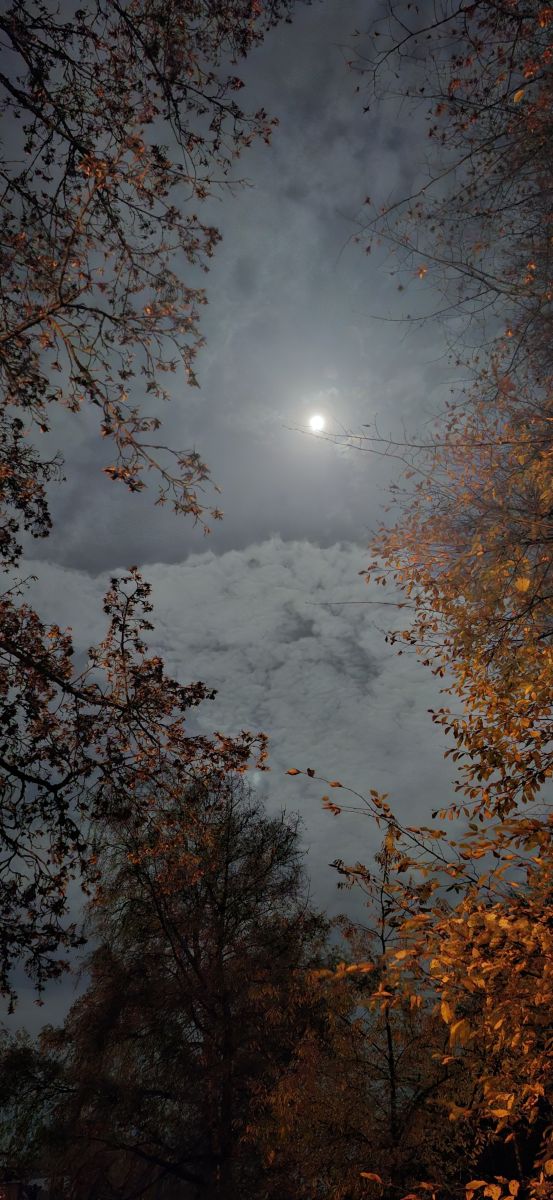Fotógrafo Jörg, Fotos sobre el clima en Rugenfeld - Weawow
