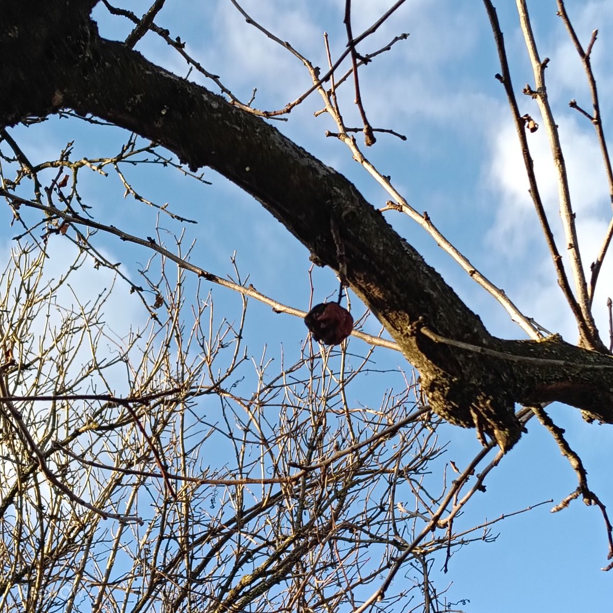 Fotos do tempo em Judetul Dambovita. Previsões do tempo com lindas fotos de YanMir