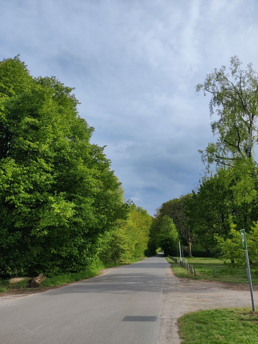 摄影师 Zorrra，Kladow的天气照片 - Weawow