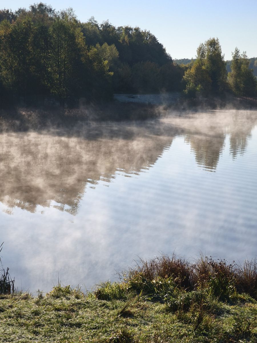 Photographer Amanda_and_Valdemar_Che, Weather Photos in Izmaylovo District - Weawow