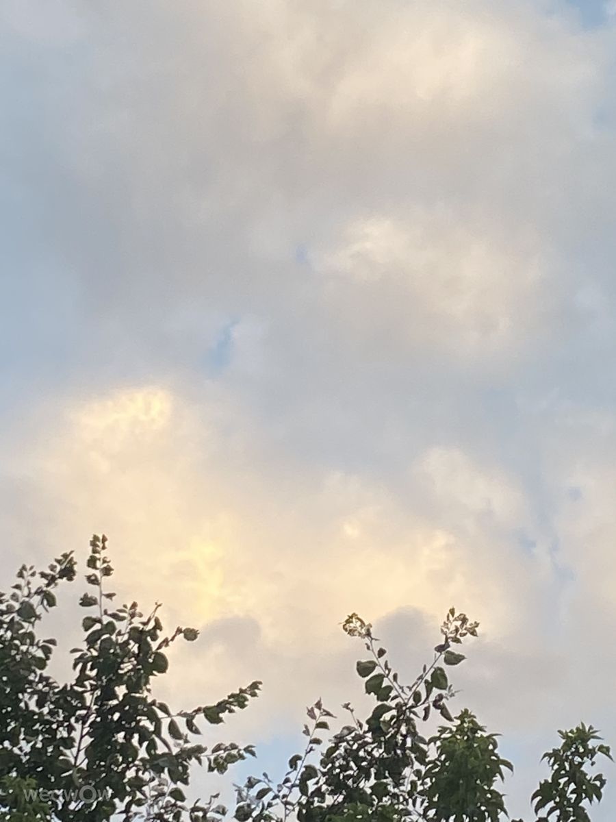 Wetter Photos le Plateau. Wettervorhersagen mit schönen Fotos von Lulu5523