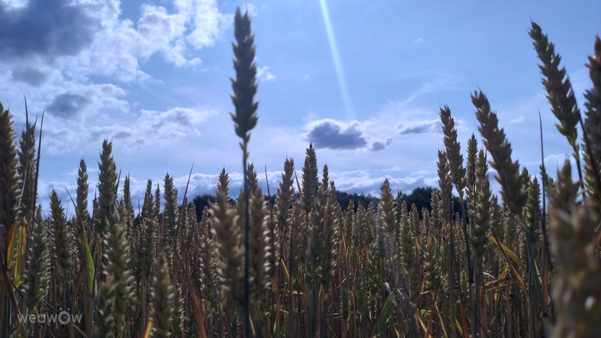 Фотографии Погоды в Харьюмаа. Прогнозы погоды с чудесными фотографиями, сделанными Jutik