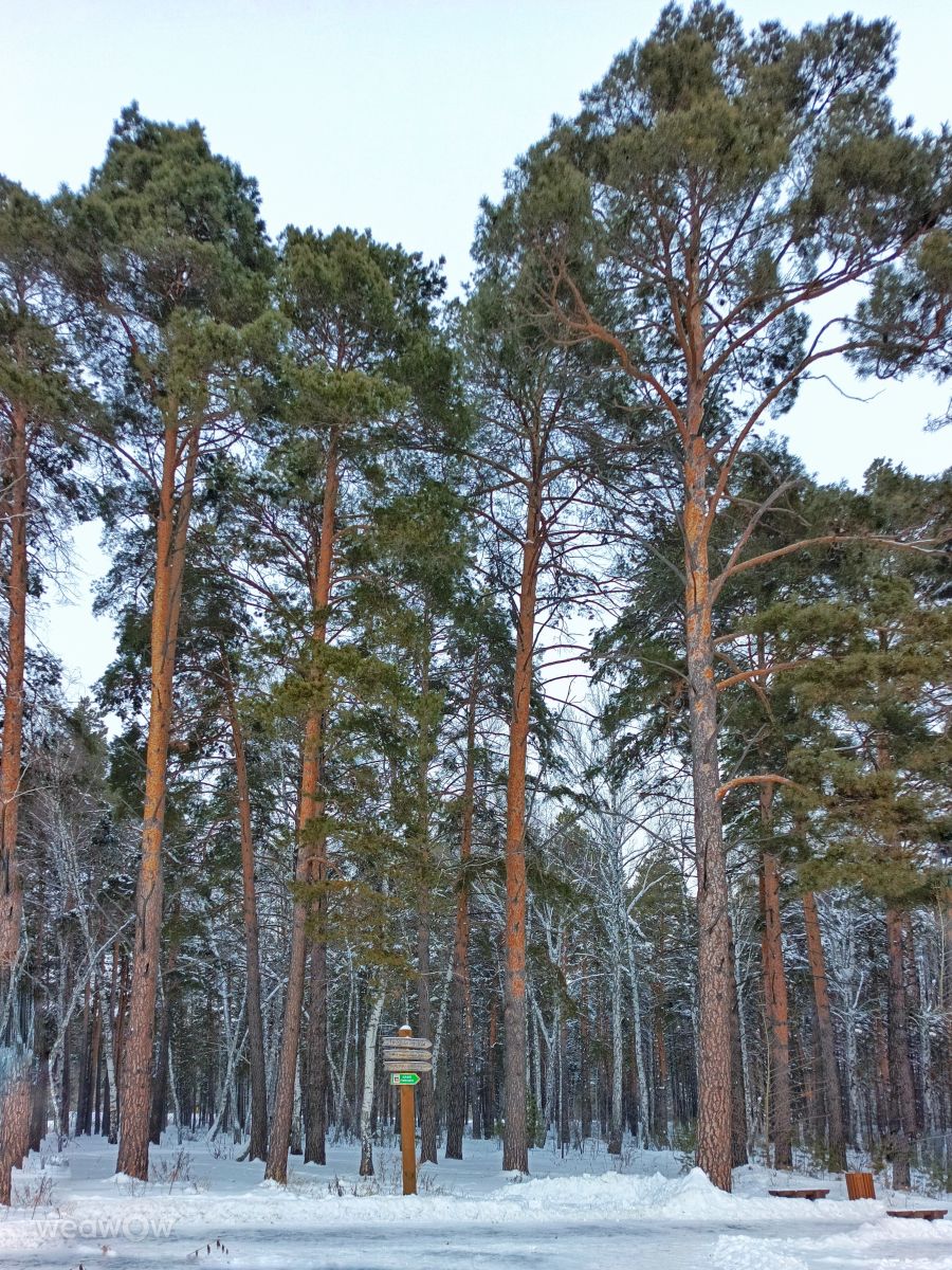 Weather Photos in Kurgan. Weather forecasts with beautiful photos by ElenaMak