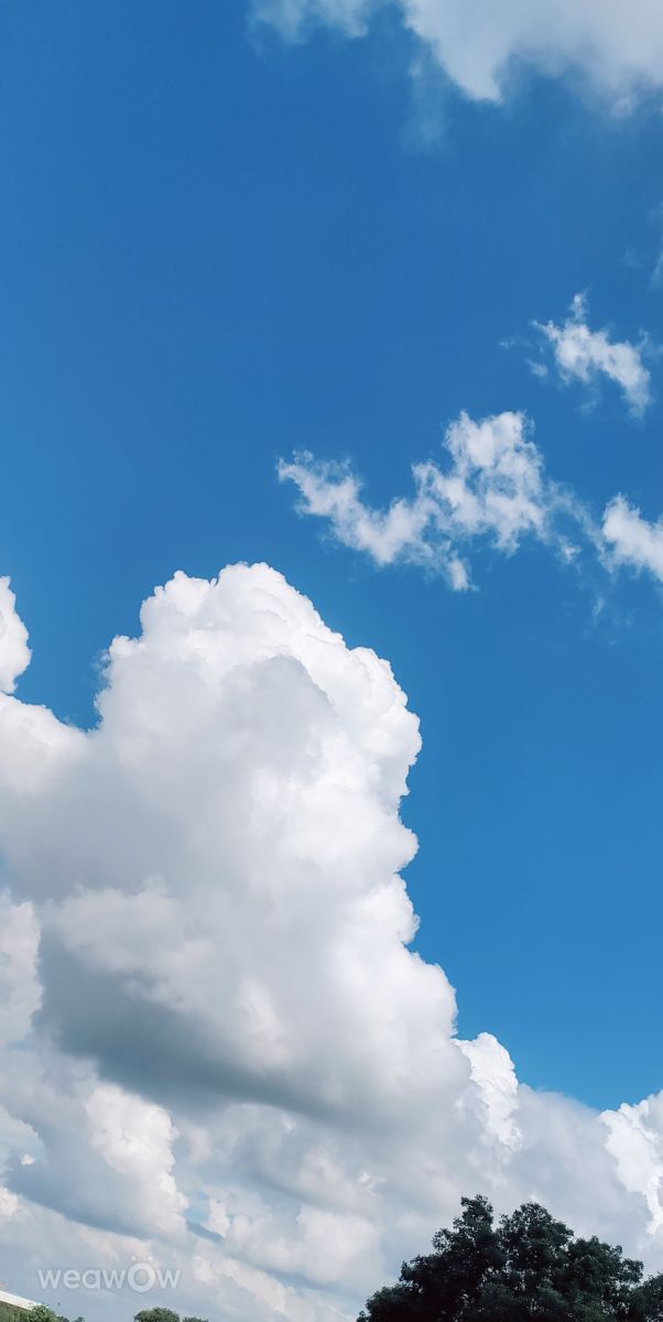 Hình ảnh Thời tiết ở Ấn Độ. Dự báo thời tiết với những bức ảnh đẹp của Blulotus