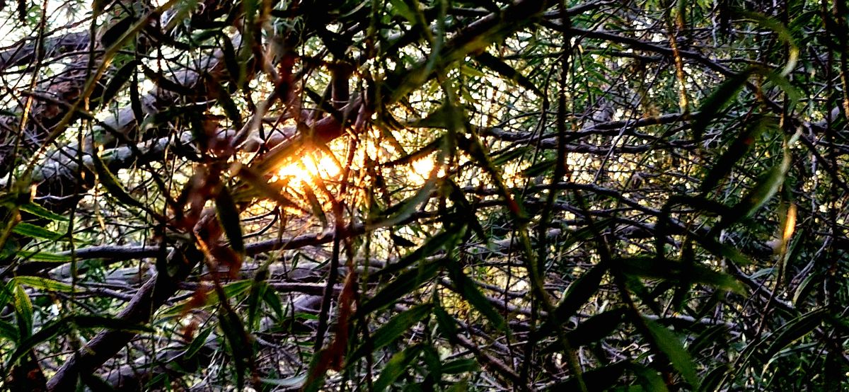 Fotos sobre el clima en Minas Gerais. Pronósticos del tiempo con hermosas fotos de Rennan-N4