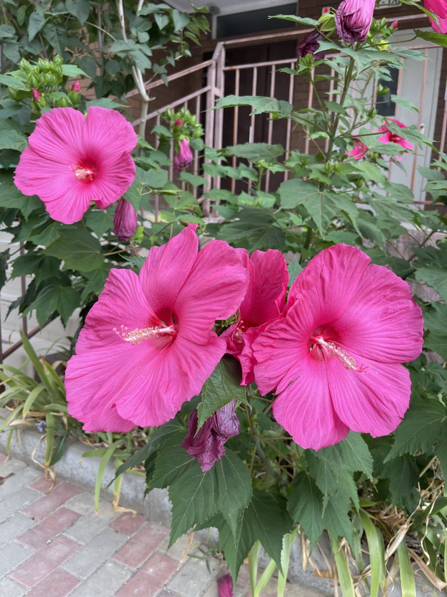 Weather Photos in Anapa. Weather forecasts with beautiful photos by Vera22