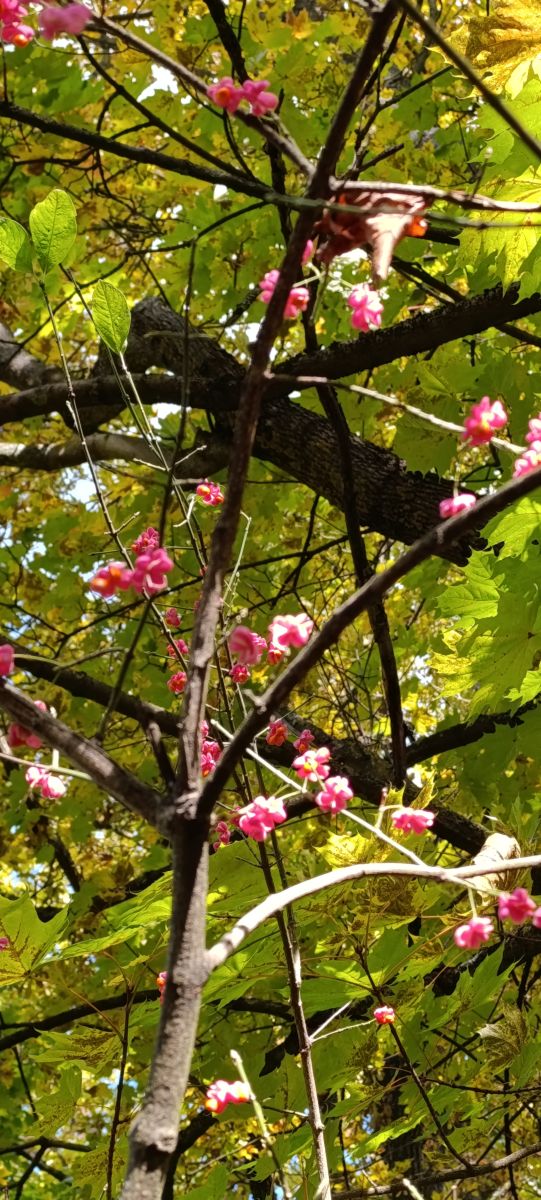 Фотографии Погоды в Санкт-Петербург. Прогнозы погоды с чудесными фотографиями, сделанными Lena_Glukhova