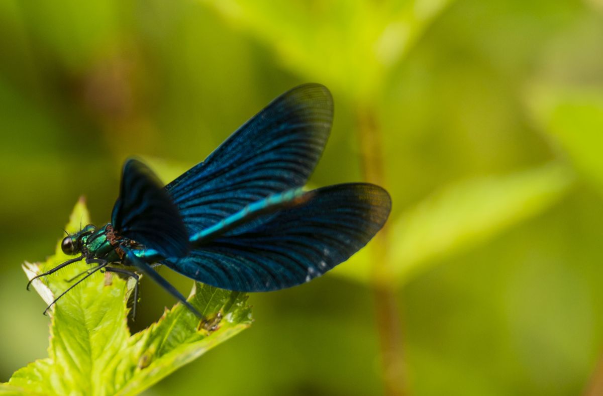 Фотограф Nymph542, Фотографии Погоды в Белорецк - Weawow