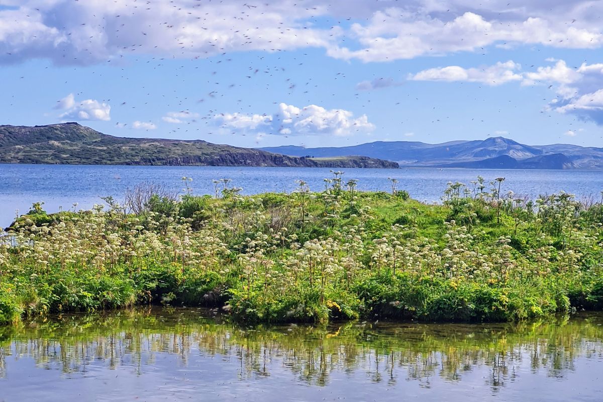 Weather Photos in Iceland. Weather forecasts with beautiful photos by eyjolfur