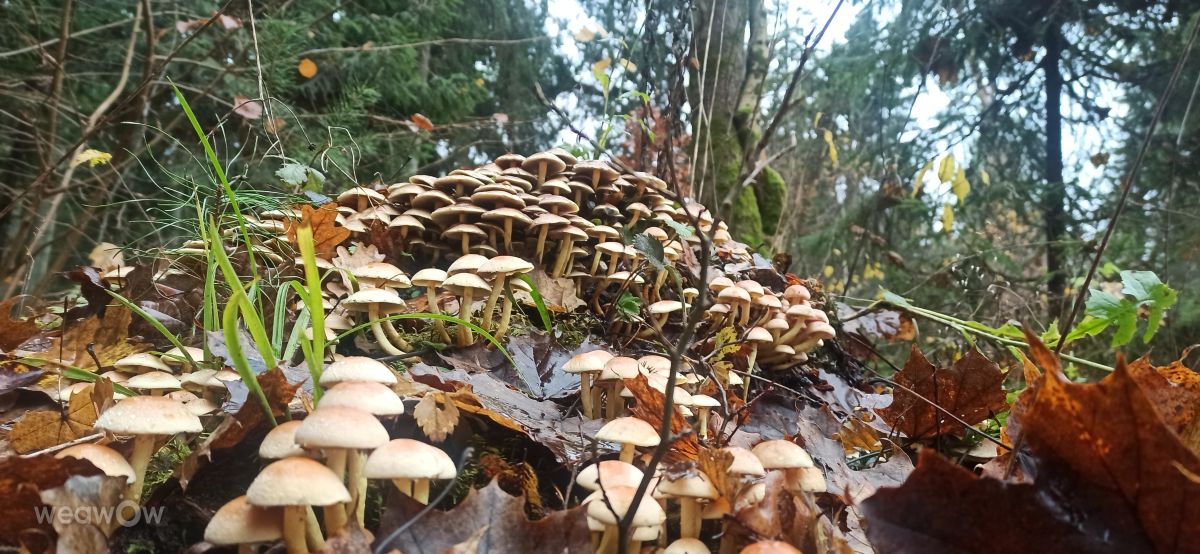 Прогнозы погоды с чудесными фотографиями, сделанными Helo_Sam