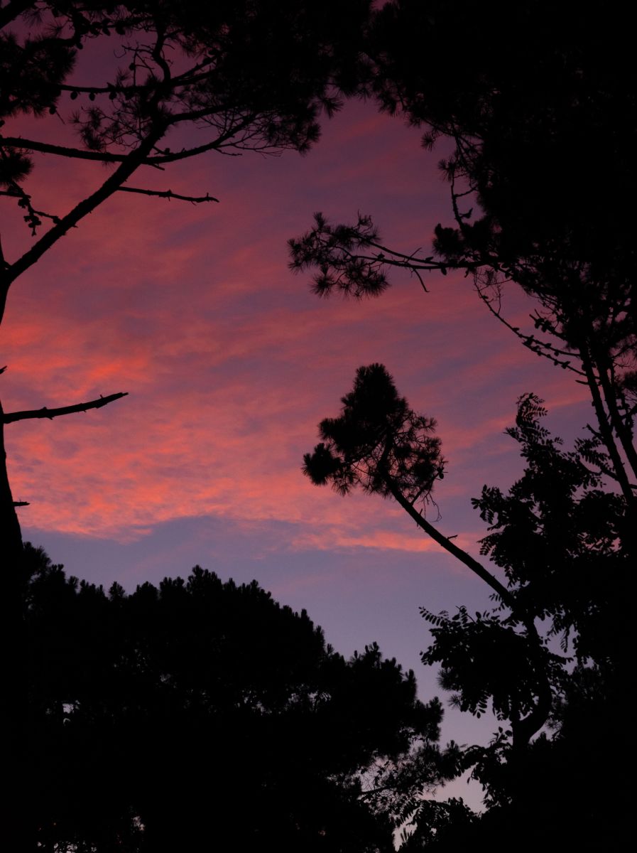 Weather Photos in Buenos Aires. Weather forecasts with beautiful photos by Franexr