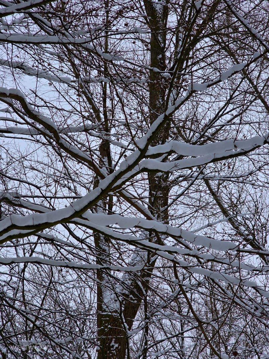 德国的天气照片. 天气预报，带Seni精美的照片