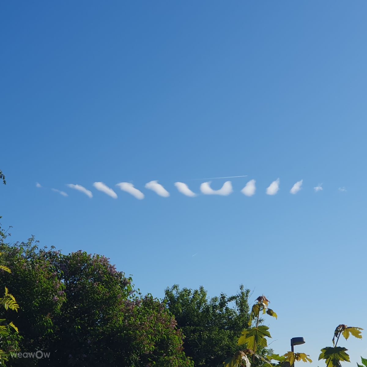 Weather forecasts with beautiful photos by Nischo