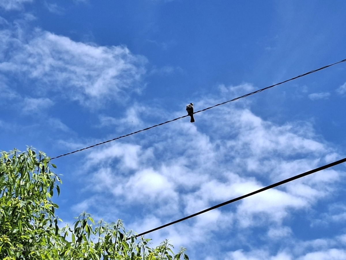 Photographer Wen-ya Huang, Weather Photos in Kaohsiung City - Weawow