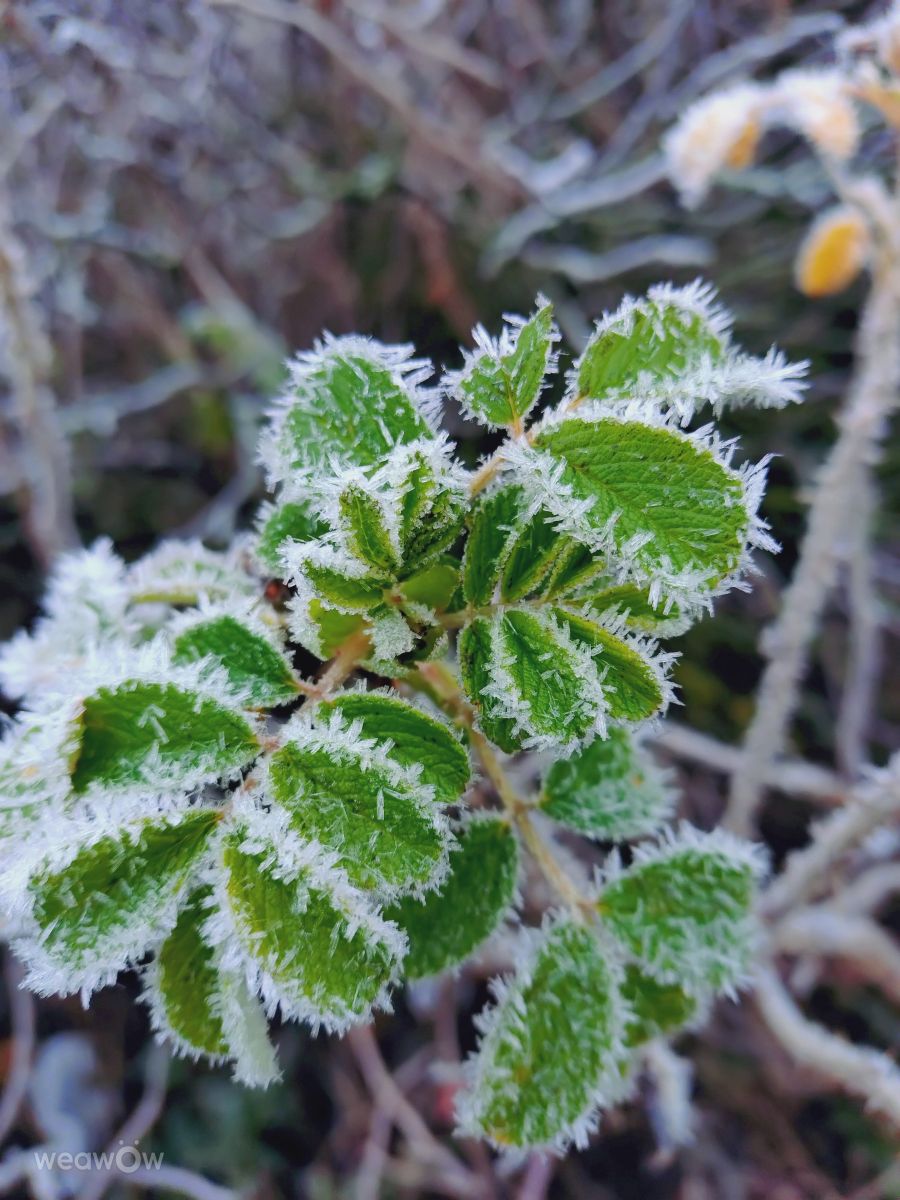Wetter Photos Estland. Wettervorhersagen mit schönen Fotos von Jutik