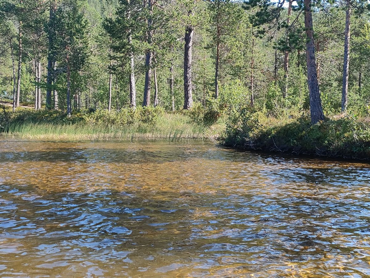 Фотографии Погоды в Murmansk. Прогнозы погоды с чудесными фотографиями, сделанными Нет Да