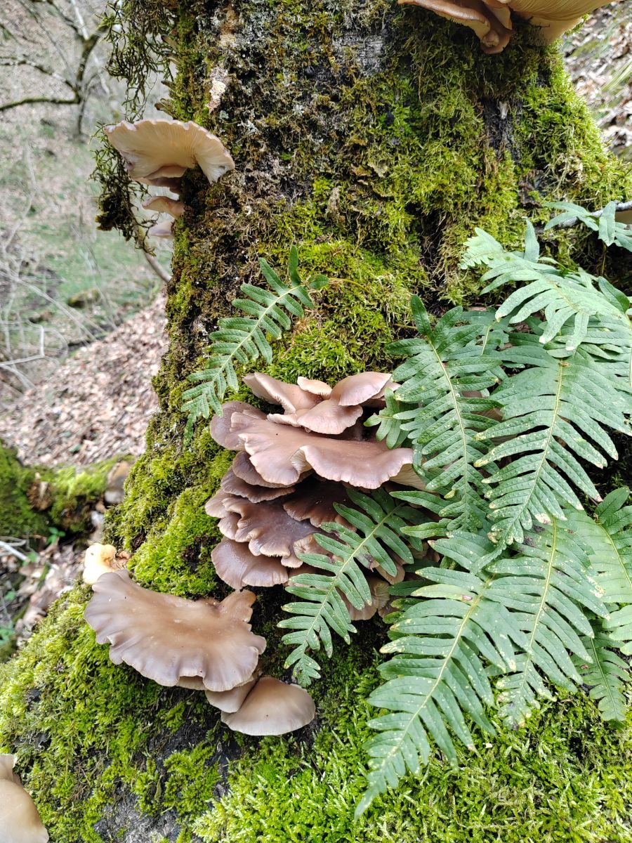 Photographer Albert_Smelovtsev, Weather Photos in Roza Khutor - Weawow