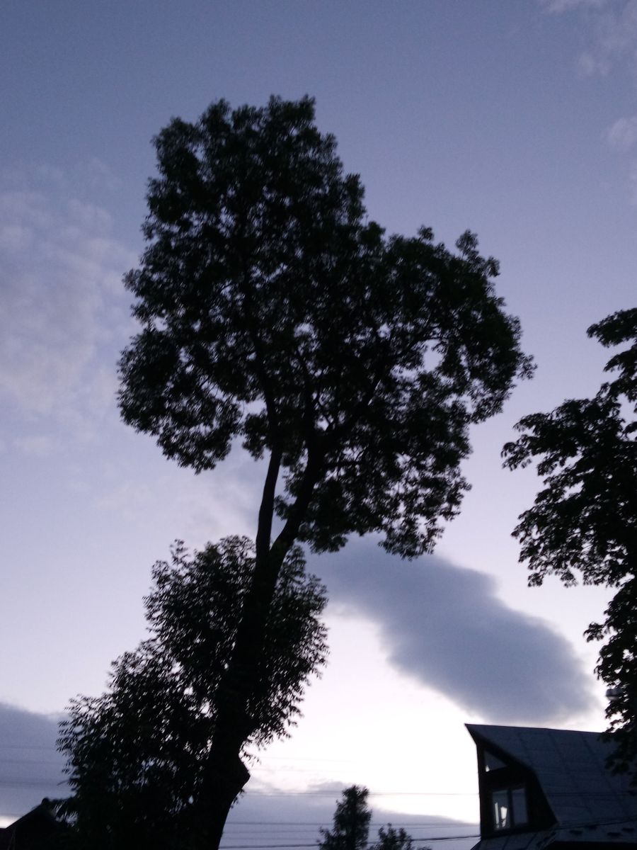 Weather Photos in Ivano-Frankivsk. Weather forecasts with beautiful photos by Vel