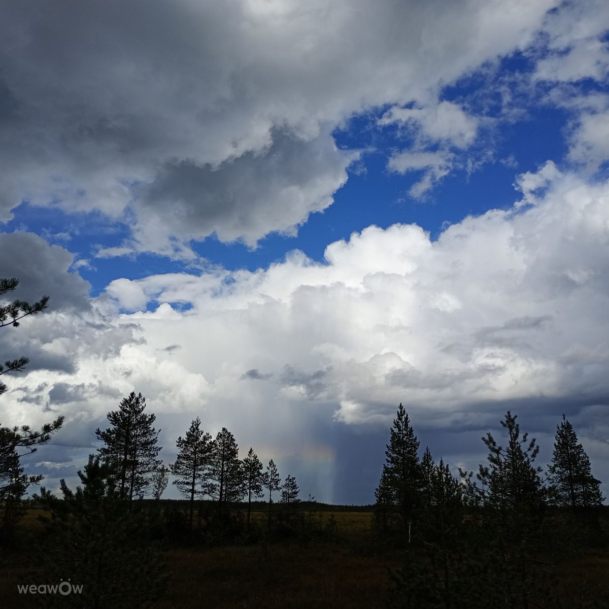 Hình ảnh Thời tiết ở Lapland. Dự báo thời tiết với những bức ảnh đẹp của Juki