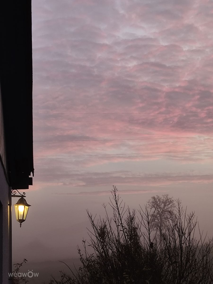 写真家 Brtd、Allersbergの天気写真 - Weawow