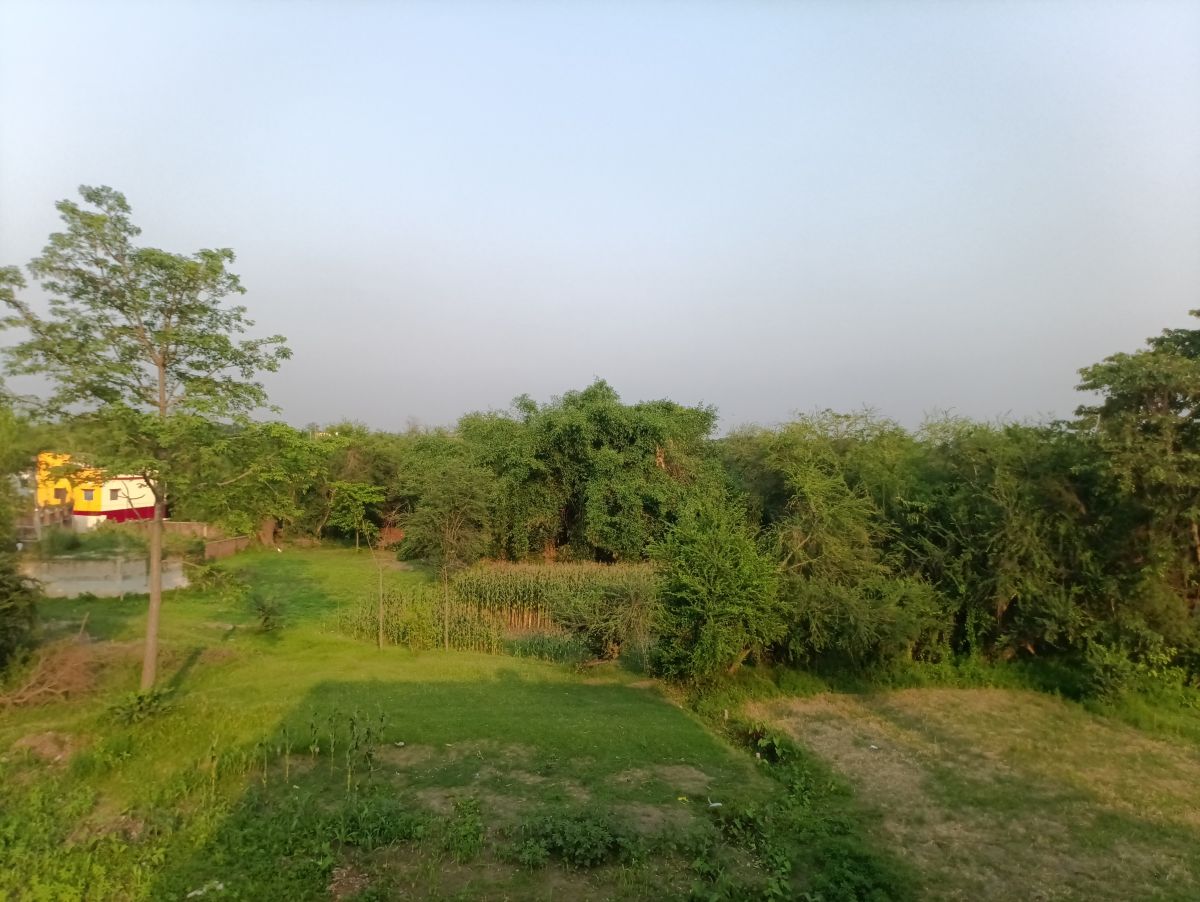 Weather Photos in Bihar. Weather forecasts with beautiful photos by Arnav