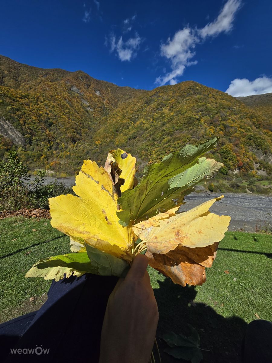 Weather Photos in Azerbaijan. Weather forecasts with beautiful photos by Mila_