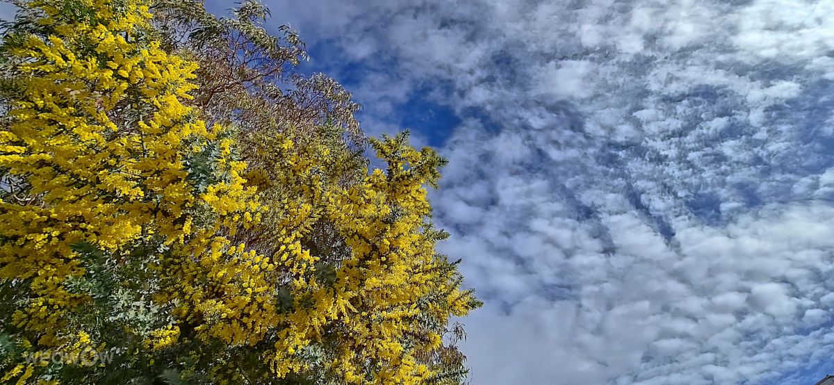 Weather forecasts with beautiful photos by Barnett-28