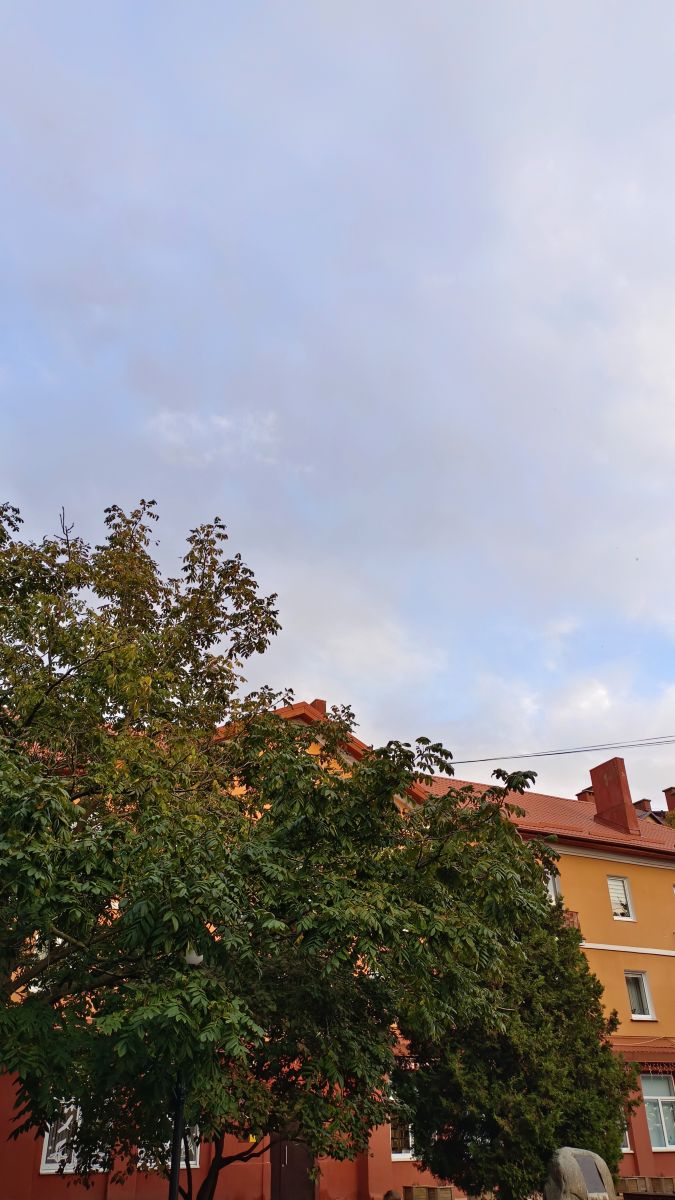 Photos météo à Kaliningrad Oblast. Prévisions météo avec de superbes photos de Михаил Бондаренко