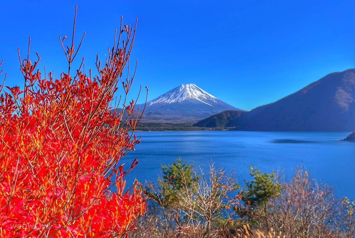 Weather forecasts with beautiful photos by Kasumisou