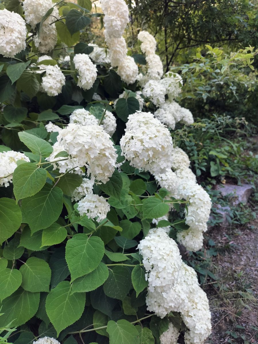 Фотографии Погоды в Белая Церковь. Прогнозы погоды с чудесными фотографиями, сделанными Chekhova