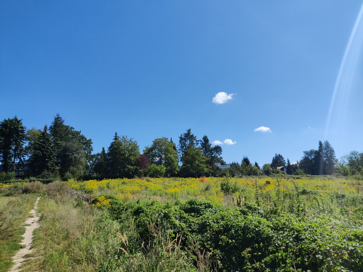 Fotografos Zorrra, Fotos do tempo em Kladow - Weawow