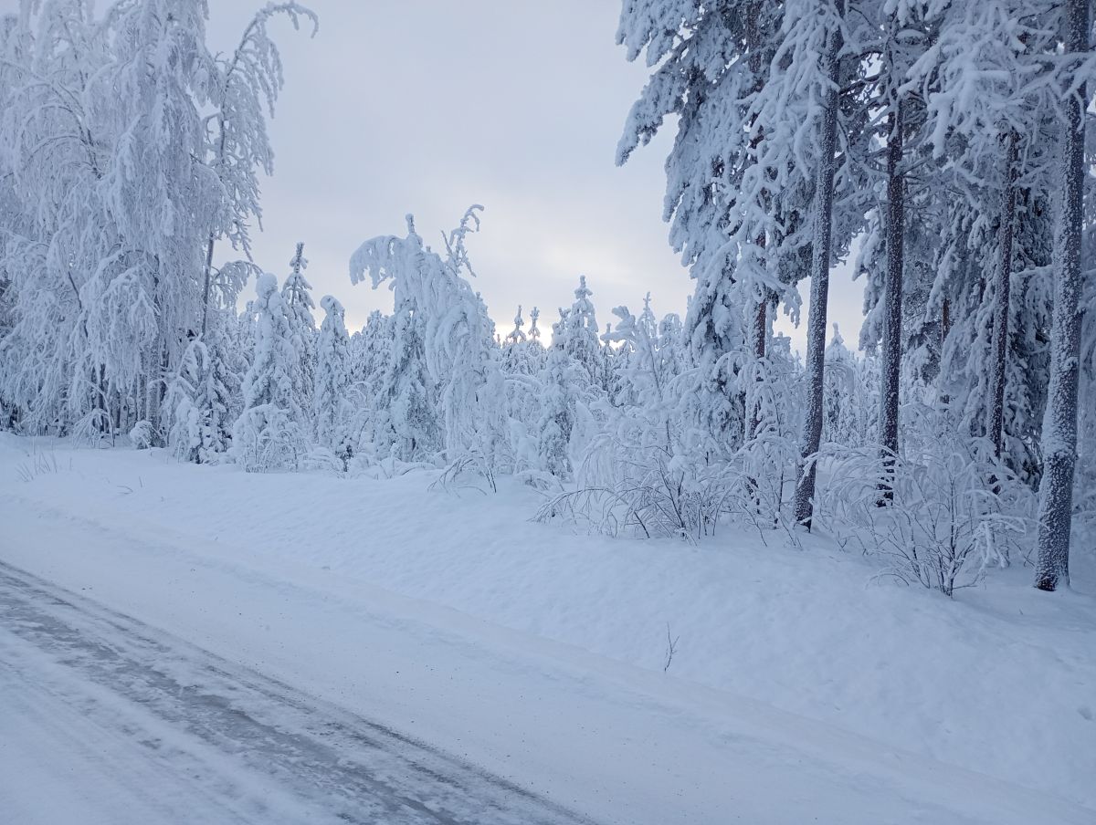 Fotos sobre el clima en Ostrobotnia del Norte. Pronósticos del tiempo con hermosas fotos de Juki