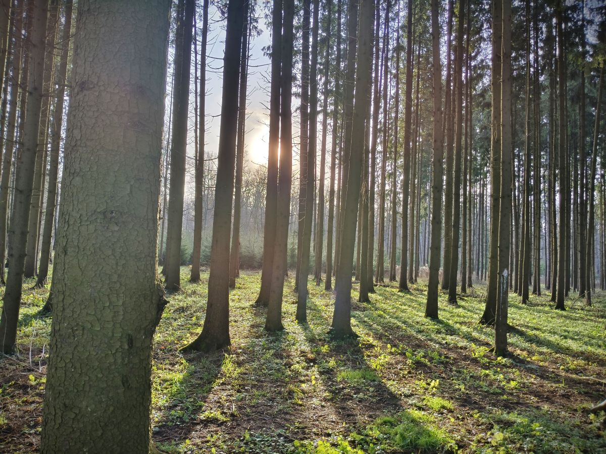 Wetter Photos Tul'skaya Oblast'. Wettervorhersagen mit schönen Fotos von Aleksei