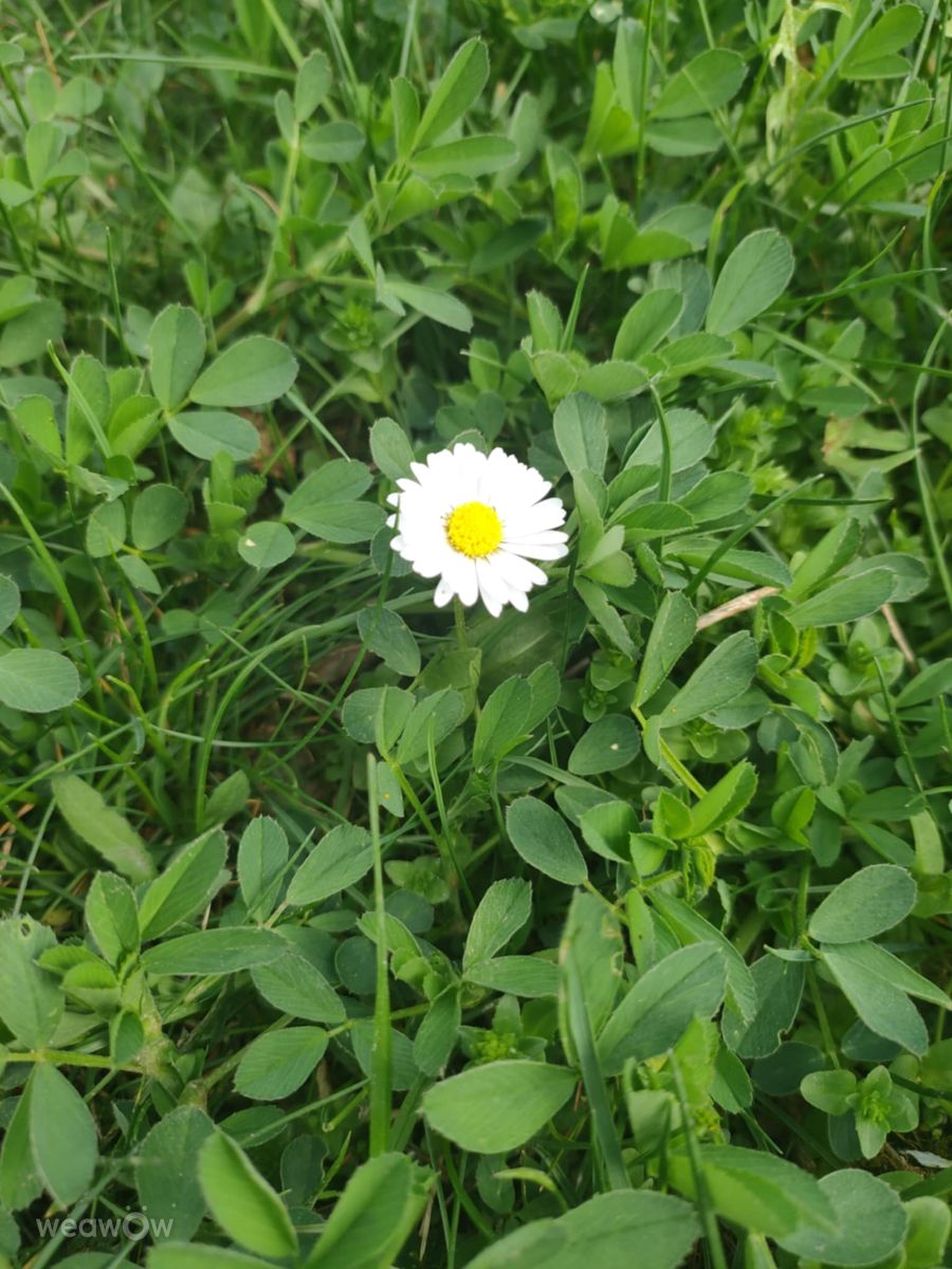 Фотографии Погоды в Ломжа. Прогнозы погоды с чудесными фотографиями, сделанными Ania-12