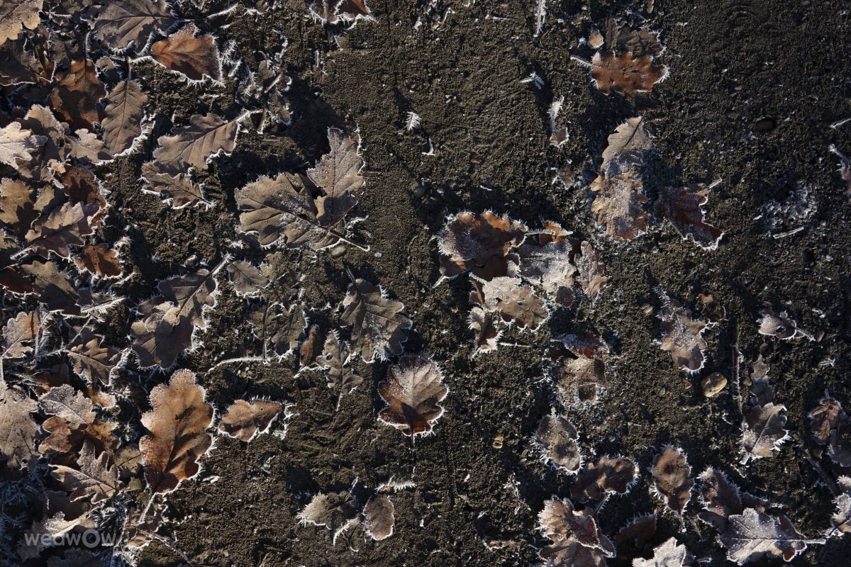 Fotografos Vasek325, Fotos do tempo em Praha 4 - Weawow