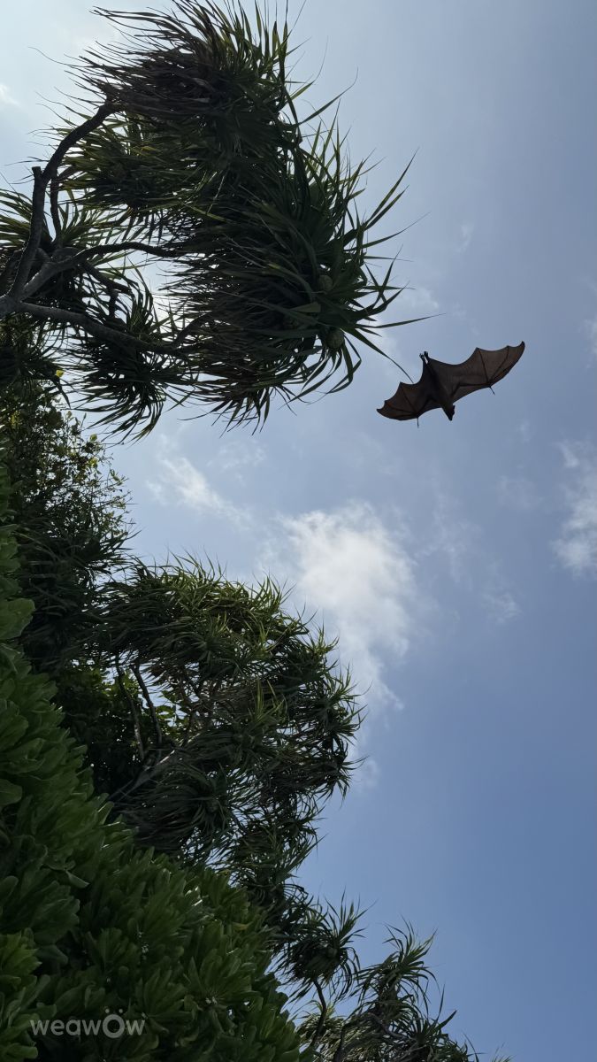 Weather Photos in Maldives. Weather forecasts with beautiful photos by Monchi