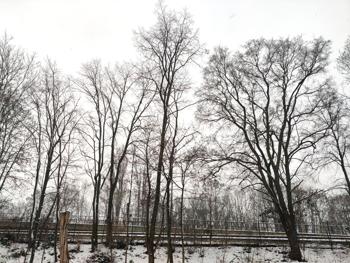 Фотограф Zorrra, Фотографии Погоды в Neukölln - Weawow