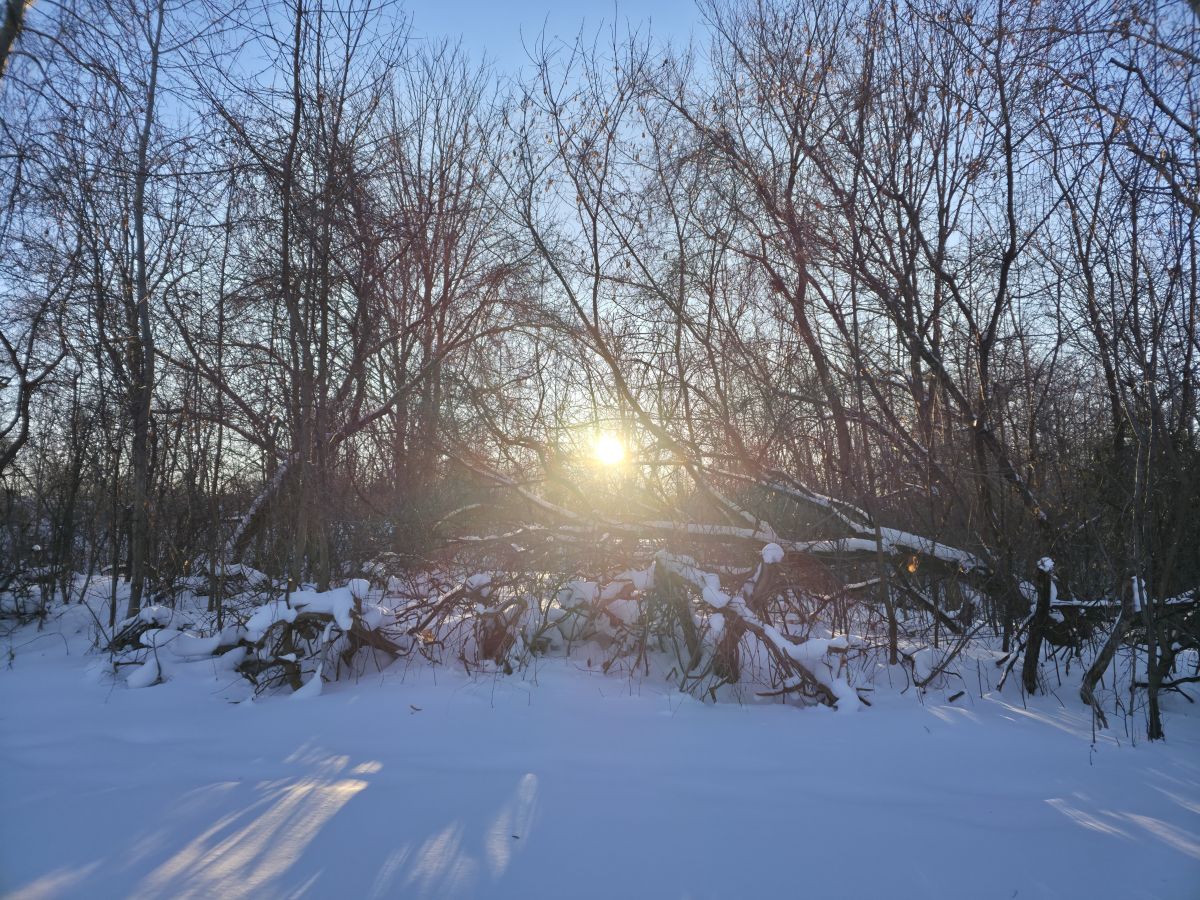Wetter Photos Ottawa / Rockcliffe Airport. Wettervorhersagen mit schönen Fotos von Derek Davlut