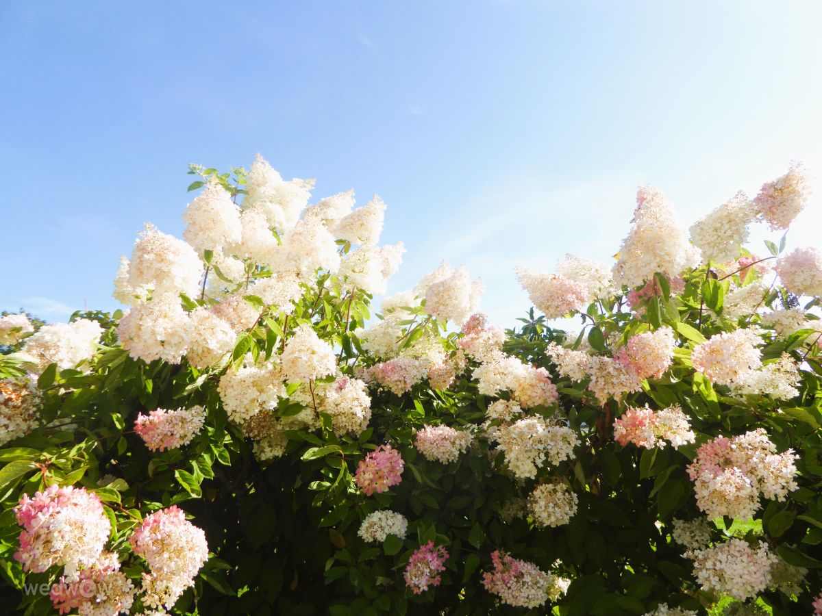 Fotos do tempo em Porvoo. Previsões do tempo com lindas fotos de AlmaGenute53