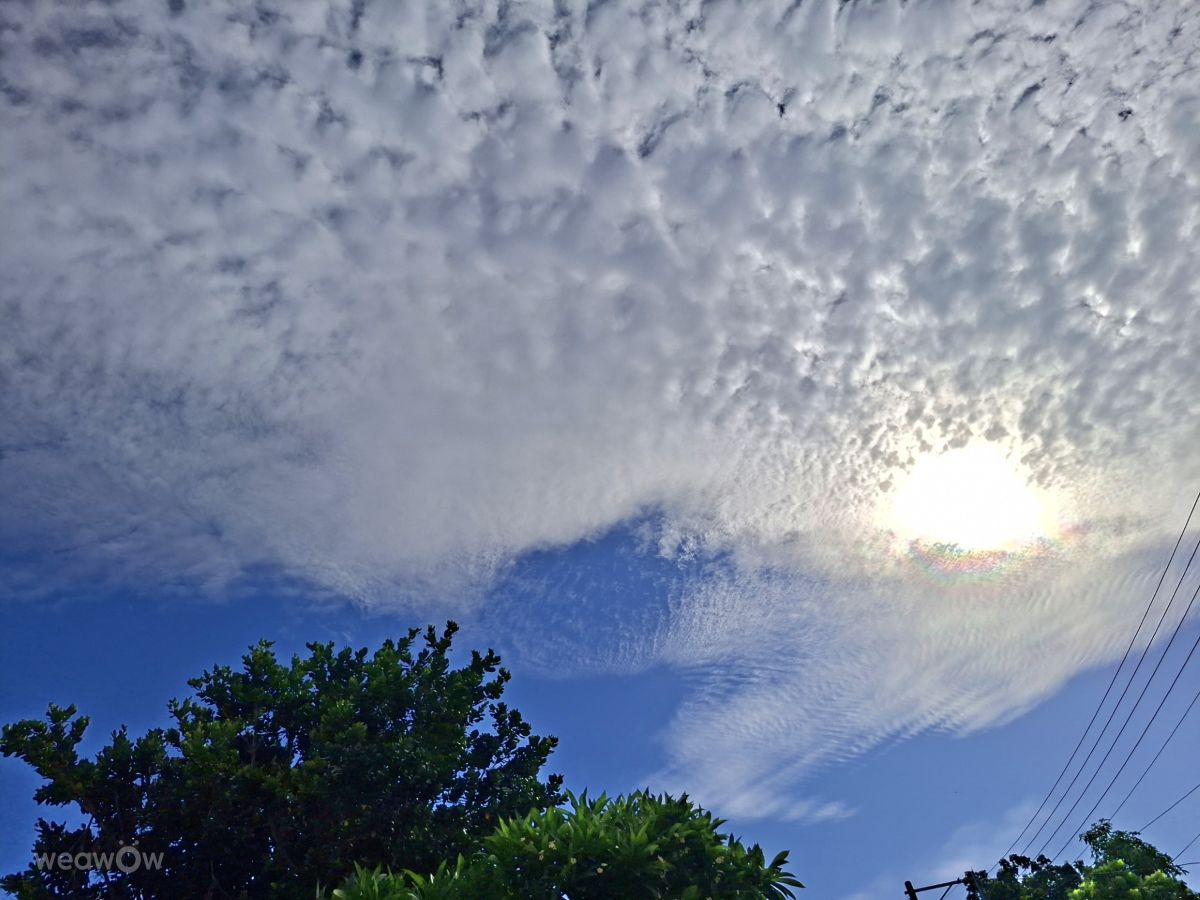 Photographe Wen-ya Huang, Photos météo à Kaohsiung - Weawow