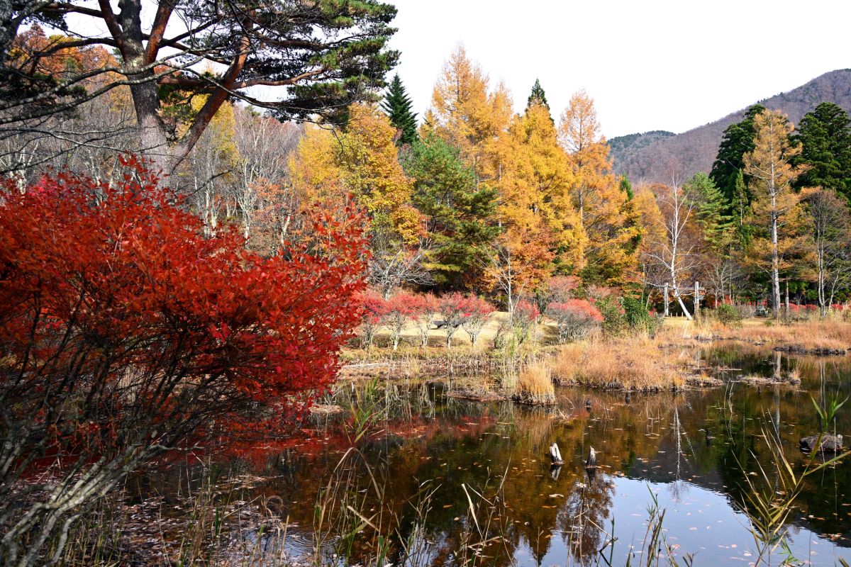 Photographer yoshy, Weather Photos in Minamiaizu - Weawow